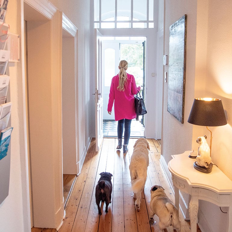 Das Bild zeigt Katrin de Buhr mit ihren Hunden in der DESIGNSTUUV Werbeagentur