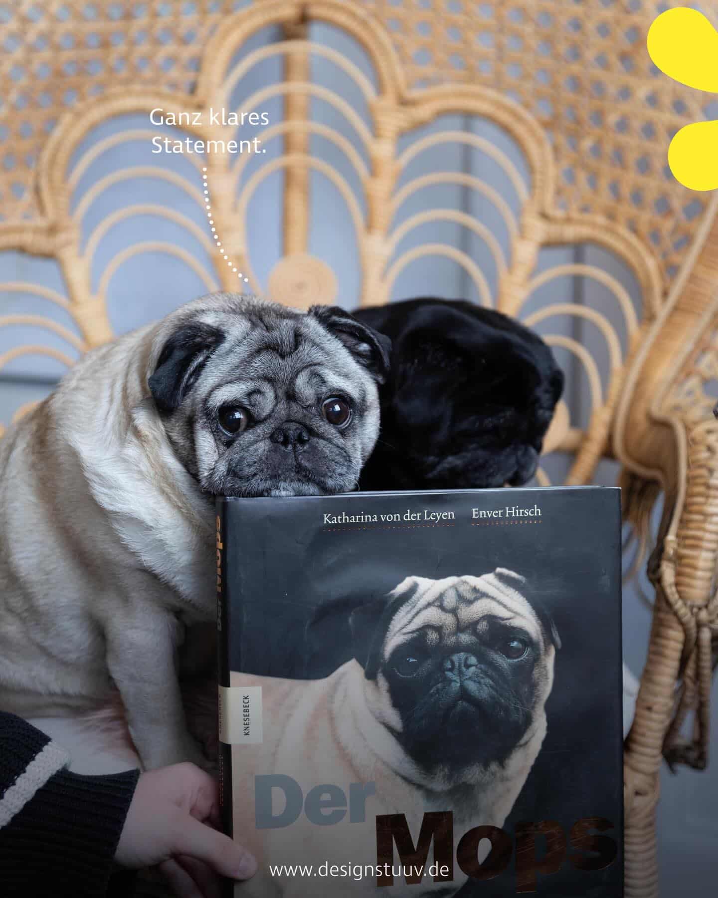 Designstuuv Werbeagentur (35)