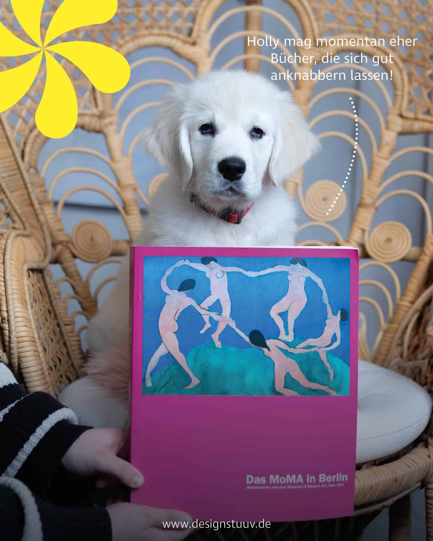 Designstuuv Werbeagentur (37)