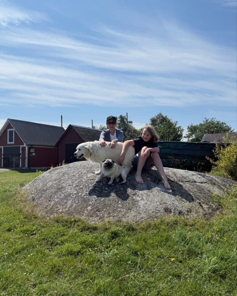 katrin_de_buhr_1766081449_3790488386046302879_2300609741