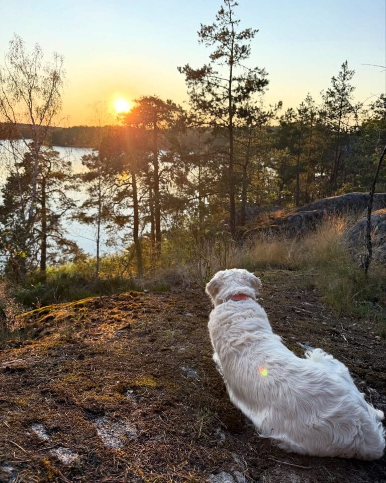 katrin_de_buhr_1766081449_3790488386046305167_2300609741