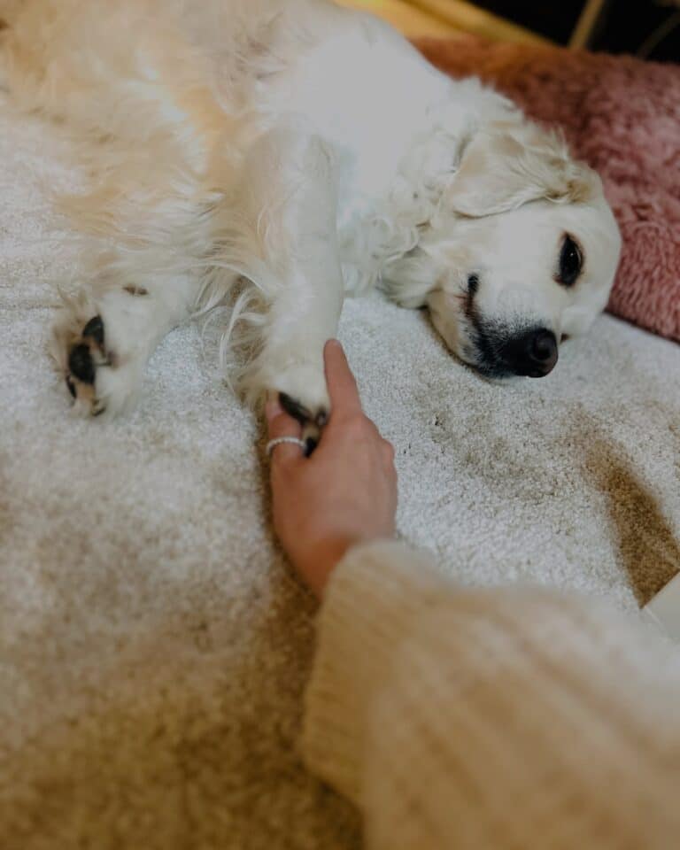 katrin_de_buhr_1766081449_3790488386054661248_2300609741