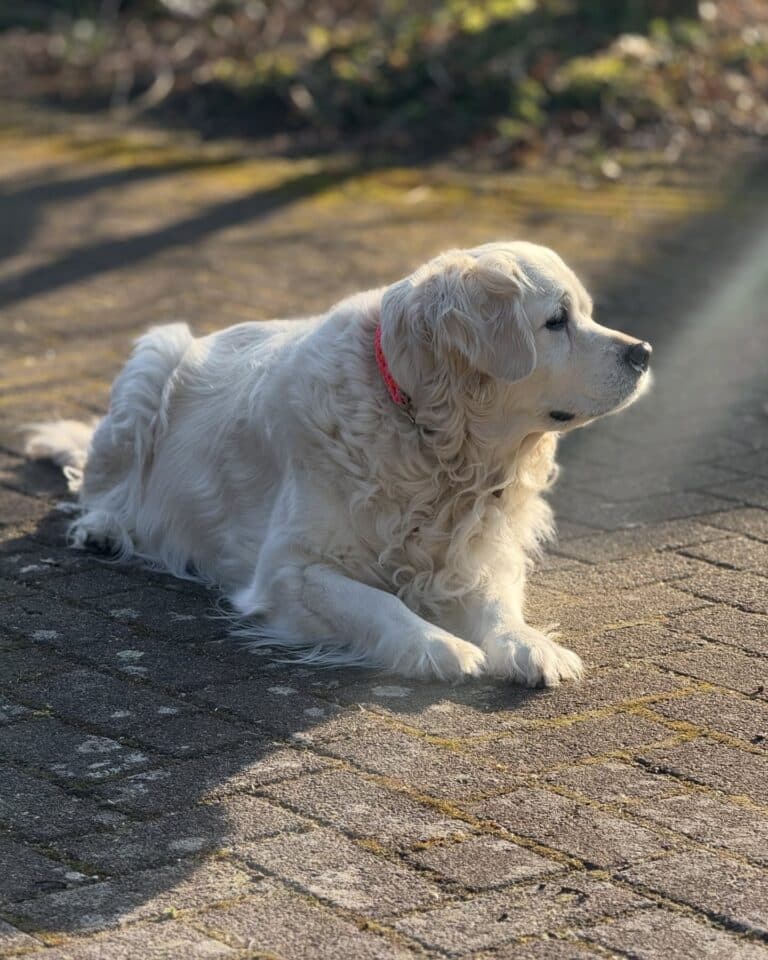 katrin_de_buhr_1766081449_3790488386054708093_2300609741