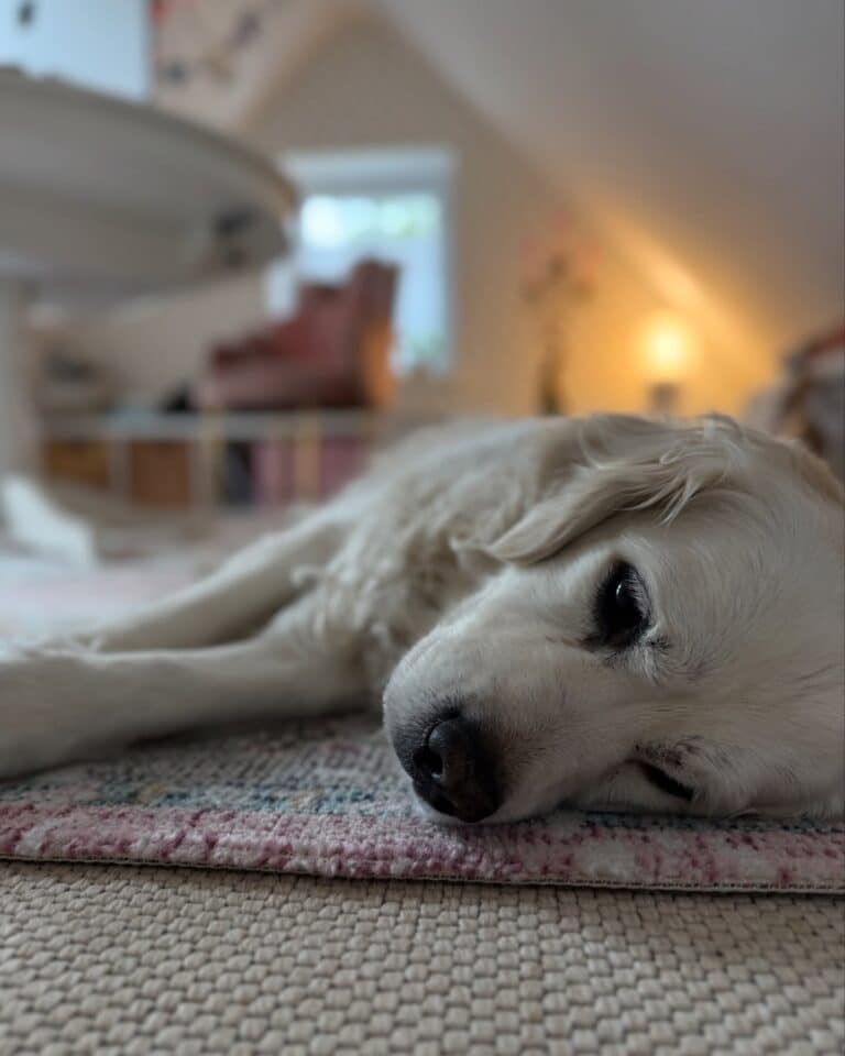 katrin_de_buhr_1766081449_3790488386063091321_2300609741