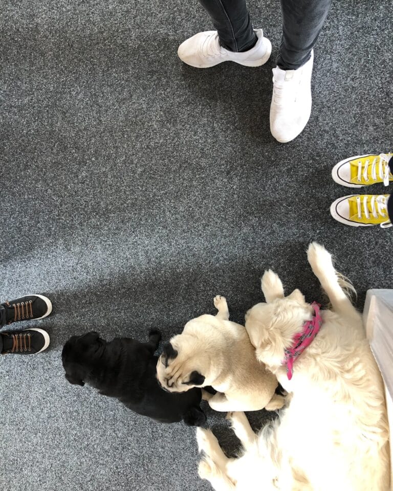 katrin_de_buhr_1766081449_3790488386071443021_2300609741