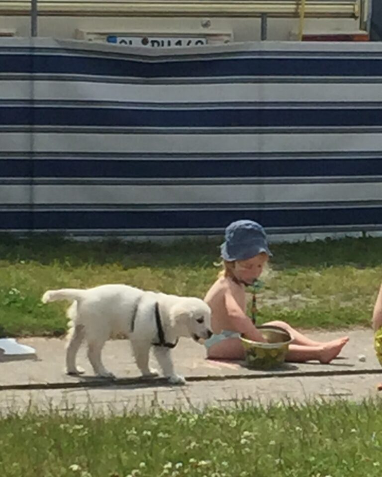 katrin_de_buhr_1766081449_3790488386096609029_2300609741