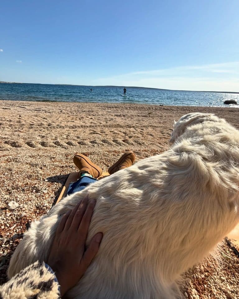 katrin_de_buhr_1766081449_3790488386096630004_2300609741