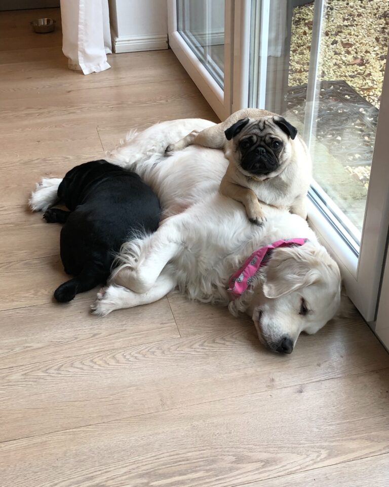 katrin_de_buhr_1766081449_3790488386096652516_2300609741