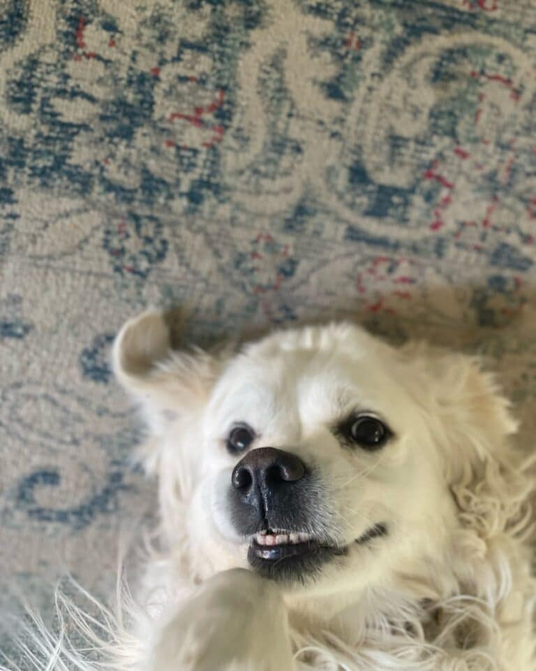 katrin_de_buhr_1766081449_3790488386105004396_2300609741