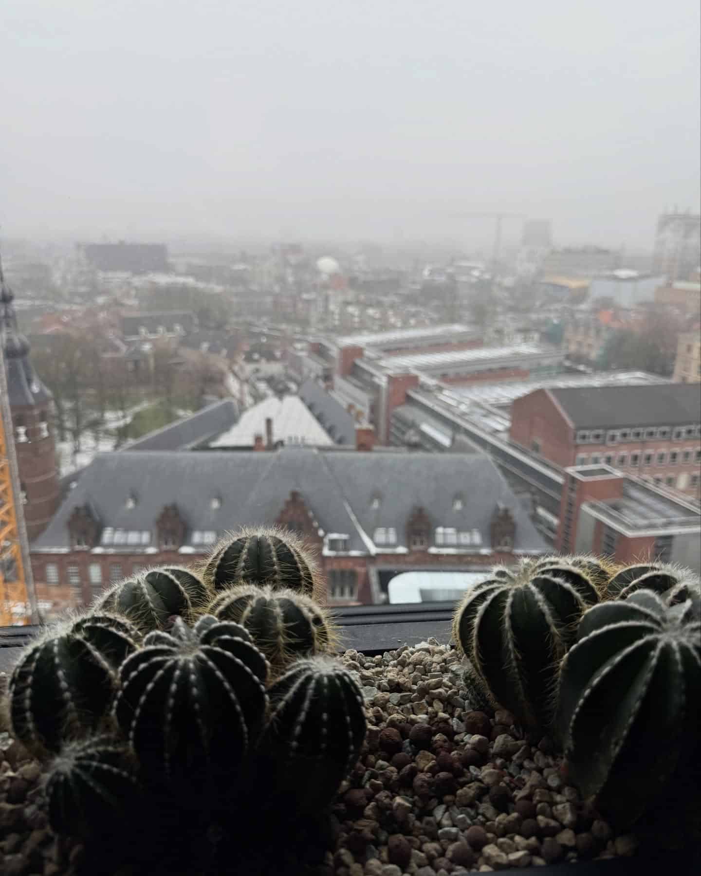 katrin_de_buhr_1770561567_3828064951990751916_2300609741