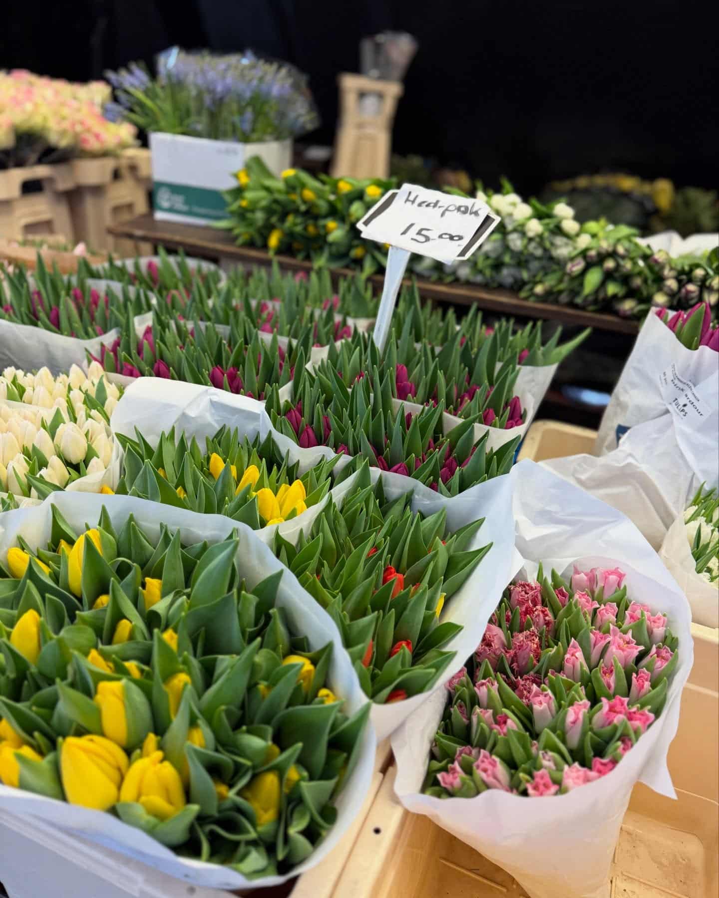 katrin_de_buhr_1770561567_3828064954448658866_2300609741